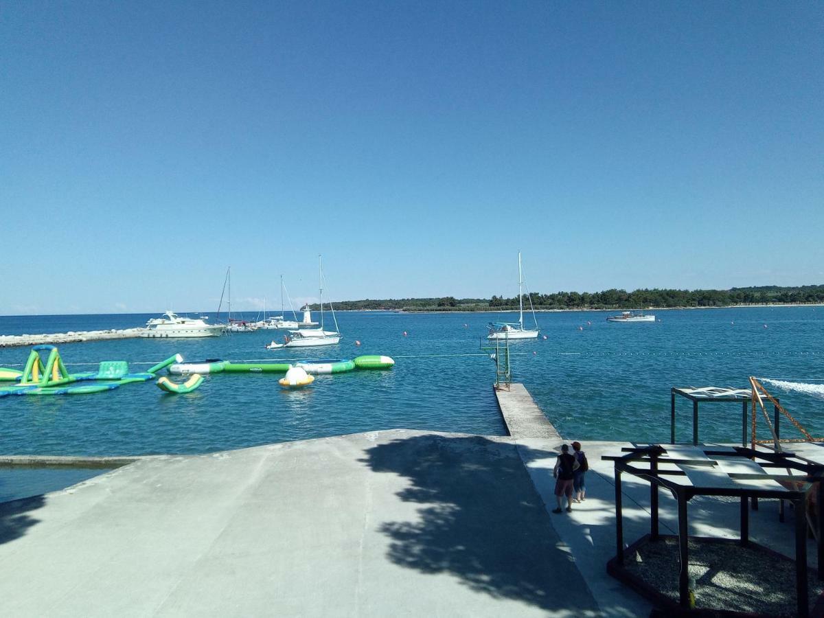 Skipper Novigrad Istria